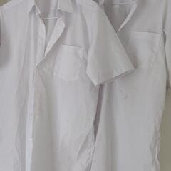 165A学生服夏服カッターシャツ