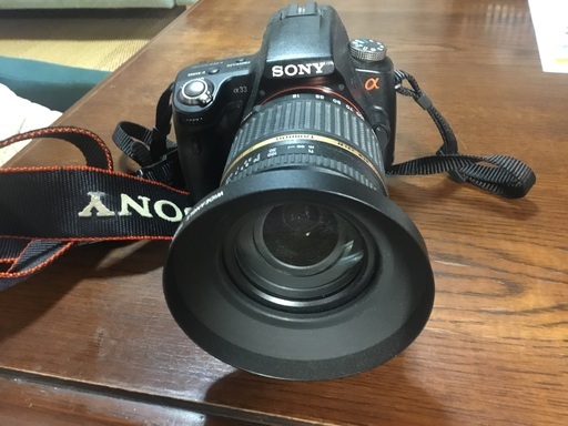 SONY  α33