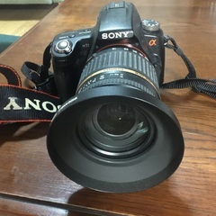 SONY  α33