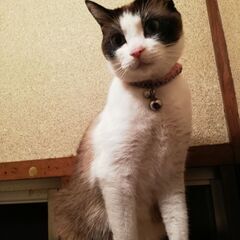 めっちゃ可愛