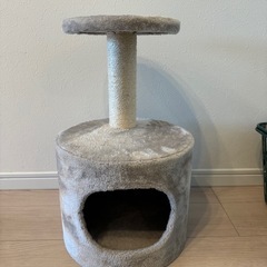 キャットハウス（猫の小屋）