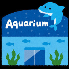 すみだ水族館で過ごす１時間