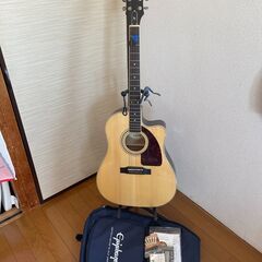 ギター　エレアコ