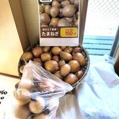 玉ねぎ詰め放題150円