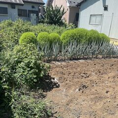【土地】 小山市大字乙女(約29.34坪) 90万円 - 小山市