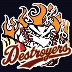 堺市を中心に毎週日曜日に活動中⚾デストロイヤーズ　体験入部お待ちしています！ - メンバー募集