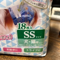 ペット用マナーパンツ  決まりましたの画像