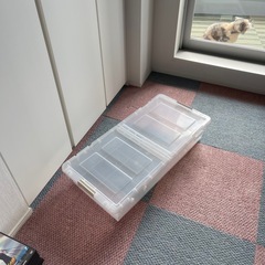 ベッド下向け 収納ケース USED