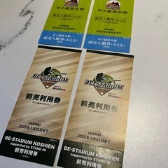 甲子園歴史館　BE-STADIUM KOSHIEN チケット