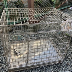 最終値下げ　サークルの画像
