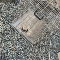 最終値下げ　サークルの画像