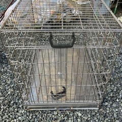 最終値下げ　サークルの画像