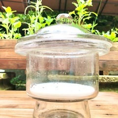 ガラス容器 デシケーター (小) サイエンスインテリア ガーデニング 蓋付き ☆配送応相談☆の画像