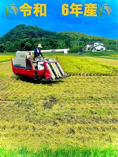 令6年?新米?⚠️完売しました⚠️