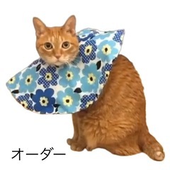 内職募集(ペットグッツ)の画像