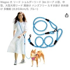 リード ショルダーにも Wagoo 水色