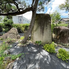庭木　庭石　譲りますの画像