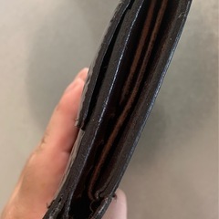 ヴィトン　ヴェルニ　財布の画像