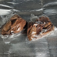 柿の葉　メダカなどにいかがでしょうか？　1袋200円