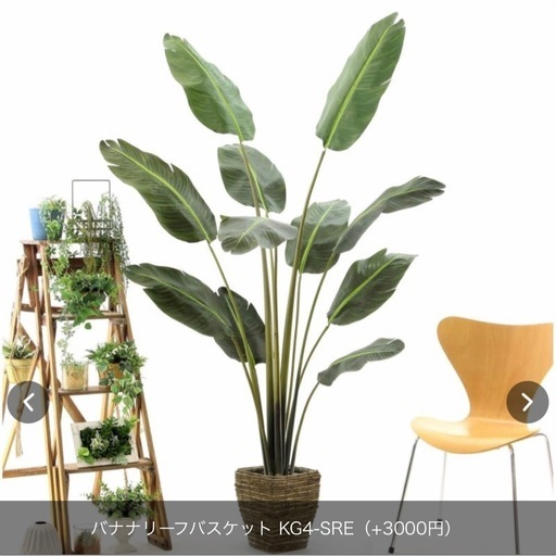 観葉植物(フェイクグリーン)