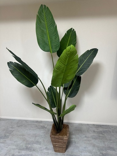 観葉植物(フェイクグリーン)