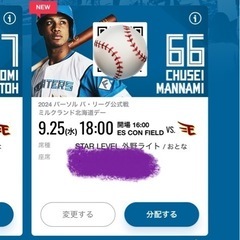日本ハムファイターズ観戦チケット2枚