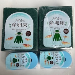 メダカ　産卵床　うきわ　大量　まとめ売り！　メダカ用品　卵