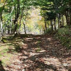 自転車ロードバイクMTBマウンテンバイクメンバー募集 − 栃木県