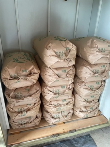 【在庫無く受付け中断】舞鶴産のコシヒカリ新米30kg（玄米）