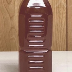 🔸予約販売🔸光合成細菌PSB2ℓ