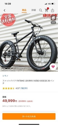 1時間のみ使用。美品ファットバイク