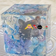【愛犬グッズ作り】キラキラクリスタルアートリウムにかわいいペットちゃんを入れての画像