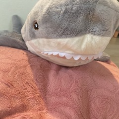 サメ ぬいぐるみの画像
