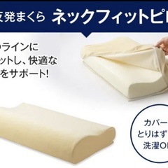 トゥルースリーパー　シングルセットの画像