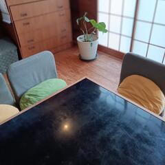 背もたれ椅子4脚まとめて