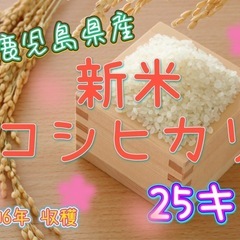 🩵ྀི新米🌾コシヒカリ🩵ྀི数量限定🩵ྀི[1]