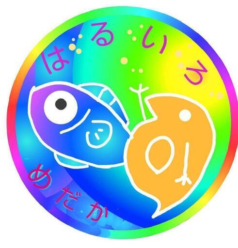 桜国屋様改良メダカ15匹1000円セット