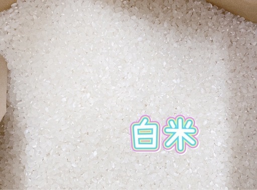 ?ྀི新米?ྀིコシヒカリ?数量限定?ྀི[2]
