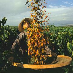 初台駅直結　イタリアンカフェスタッフ大募集！の画像