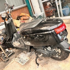 YAMAHA VOXの画像