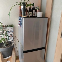 美品　冷蔵庫