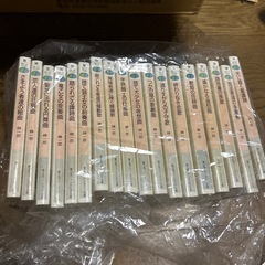 商談中　ライトノベル　スクラップドプリンセス全巻