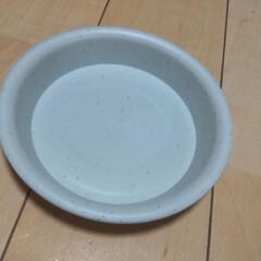 鉢の画像