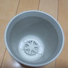 鉢の画像