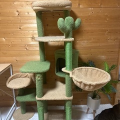 キャットタワー