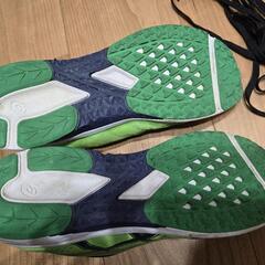 24cm アシックス 紐靴の画像
