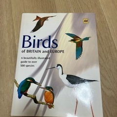 洋書　Birds of Britain and Europe