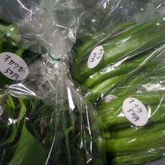 新鮮野菜コーナー8月27日の品出し予定です。