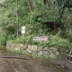 戦争や不調和は私と言う個人の中の葛藤や摩擦が創り出しています。世界が一つに成れる生き方の学びは生きていて嬉しくて楽しくて幸せいっぱいを超えた意識の学びを実践して行きたい方宜しくお願い申し上げます🙇🙇‍♂ - 相模原市