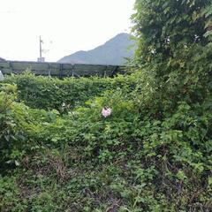 戦争や不調和は私と言う個人の中の葛藤や摩擦が創り出しています。世界が一つに成れる生き方の学びは生きていて嬉しくて楽しくて幸せいっぱいを超えた意識の学びを実践して行きたい方宜しくお願い申し上げます🙇🙇‍♂ - メンバー募集